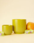 On an ivory background is three different sized ceramic planters in chartreuse shade with a slight speckle detail and a tapered base.