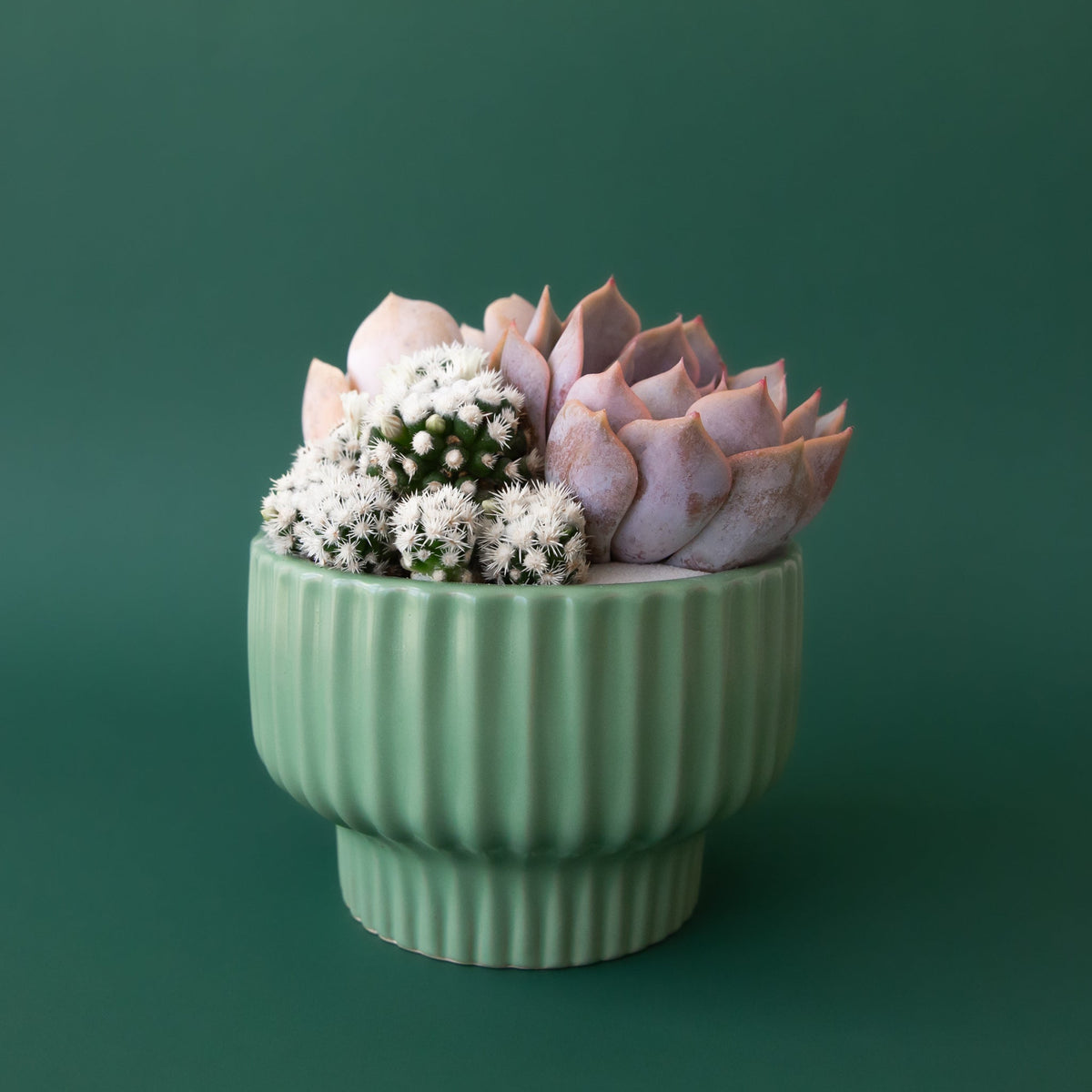 potted artificial jade plant Presley Pedestal Planter