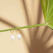 A pair of gold hoops with pearls on the end of each.