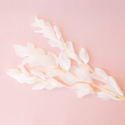 A white bundle of dried florals.