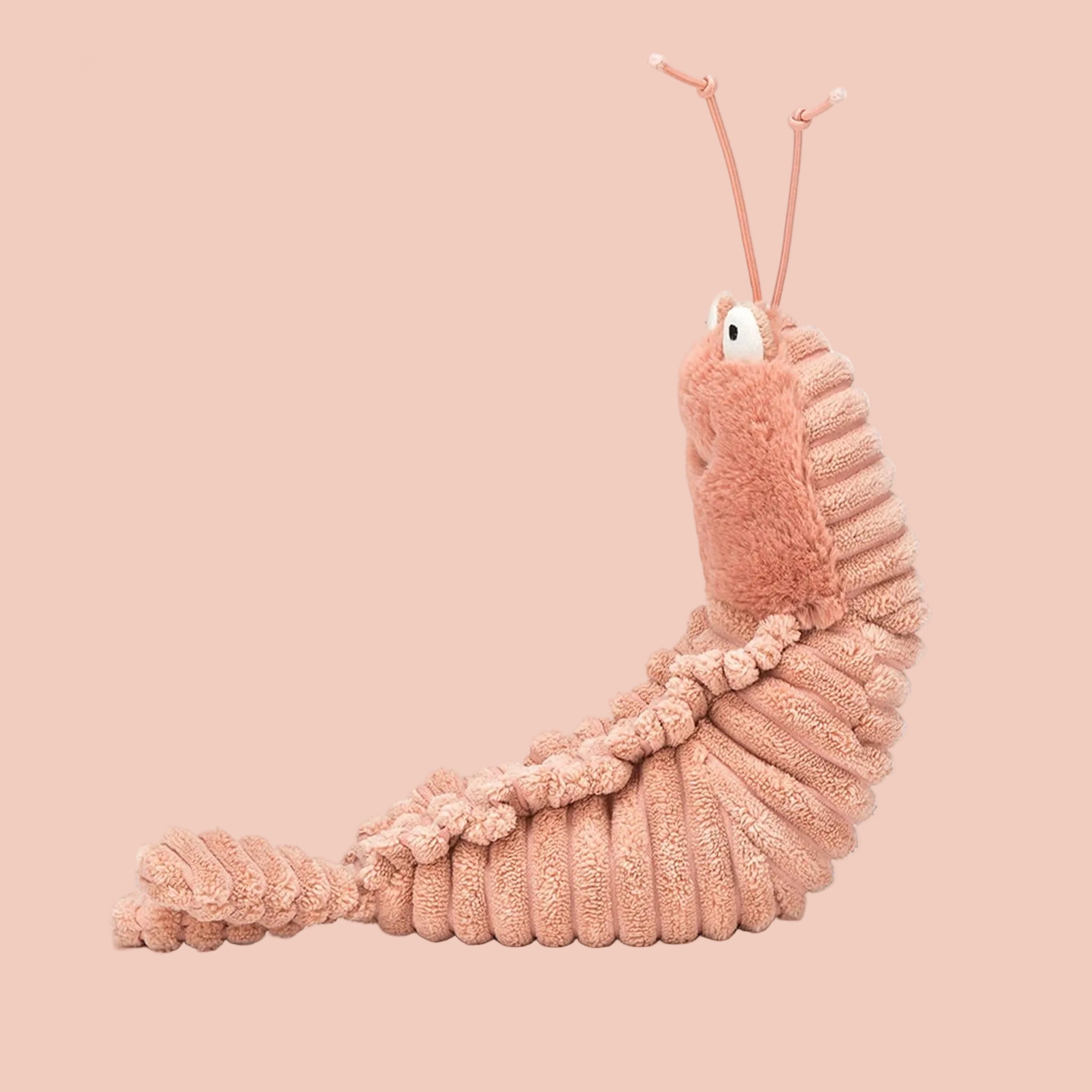ジェリーキャット Sheldon Shrimp（海老）ぬいぐるみ Sheldon Shrimp Jellycat – Pigment