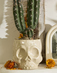 Skull Pot | Ivory