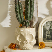 Skull Pot | Ivory