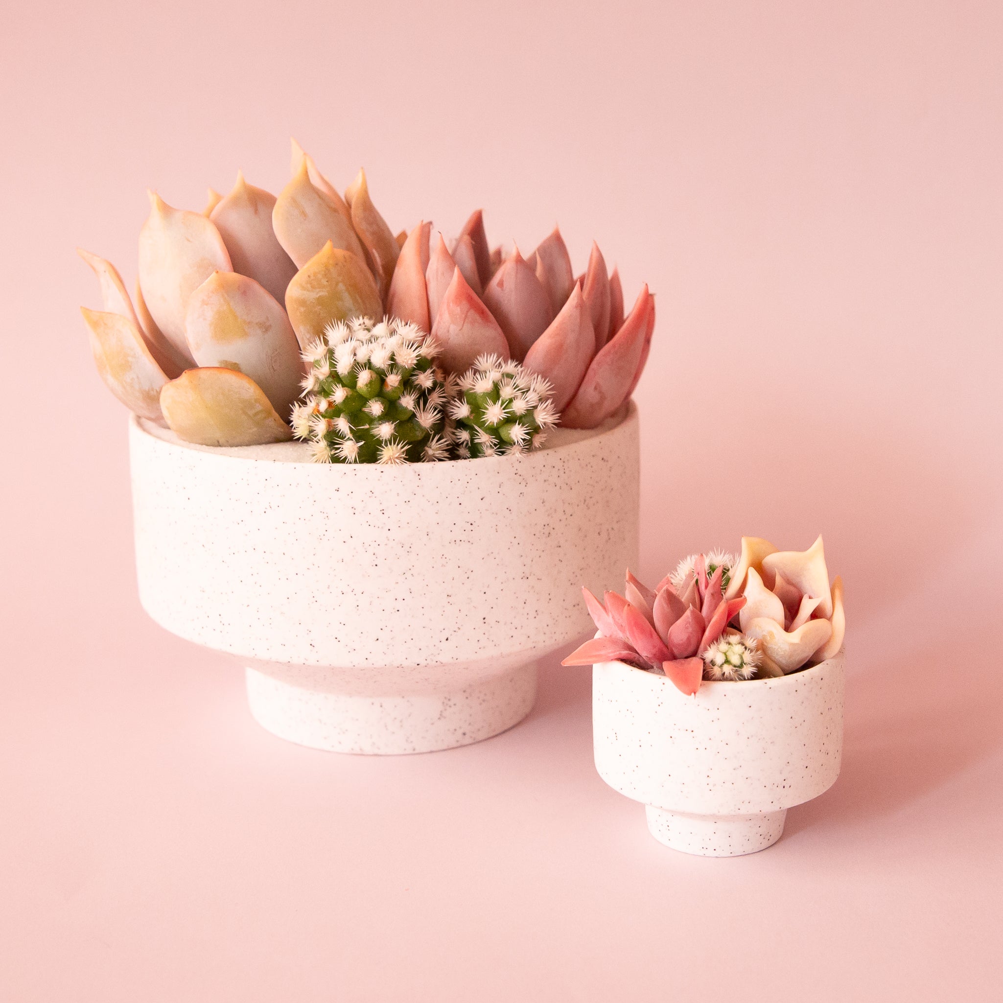 pale pink plant pot Speckle Footed Planter | White