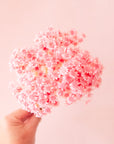 A bundle of pink dried flowers.