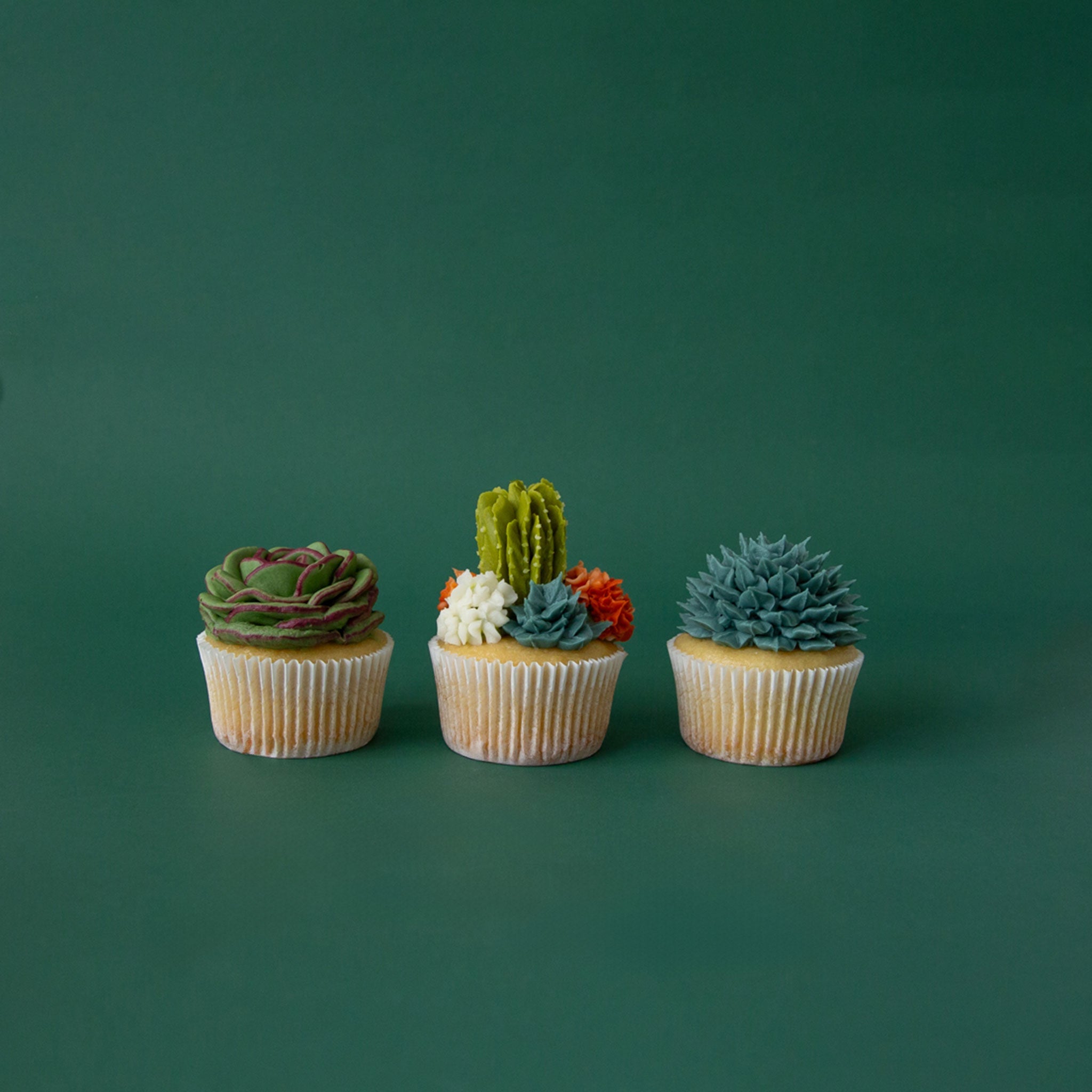 Sweet Succulents | Cupcake Decorating Workshop  Pigment