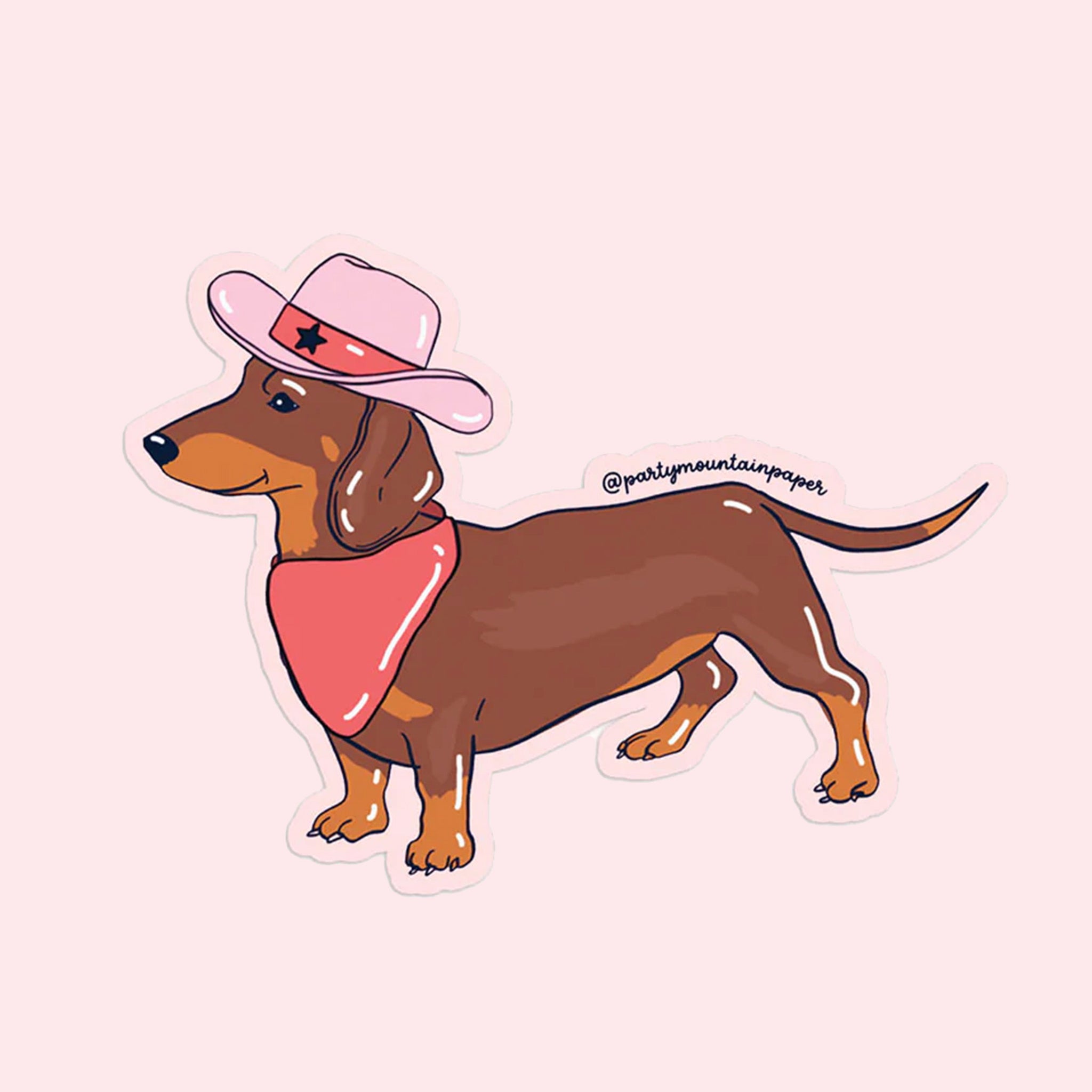 On a pink  background is a weenie dog sticker with a bandana and pink cowboy hat on.