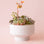 A white, speckled planter with an elevated base and warm succulent display.