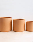 On a white background is a terracotta cylinder planter with a raw terracotta finish photographer here in all three sizes.