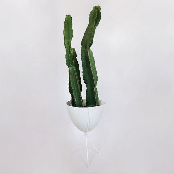 In front of white background is a white planter in a white metal stand. The bullet planter is wide at the top and narrow at the bottom. The metal stand has three legs. Inside the planter is a tall green cactus. 
