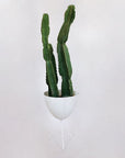 In front of white background is a white planter in a white metal stand. The bullet planter is wide at the top and narrow at the bottom. The metal stand has three legs. Inside the planter is a tall green cactus.