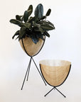 In front of a white background is a wood colored bullet planter. The planter has a wide top and narrows at the bottom. The planter is held up by a black metal stand. The stand has three black metal legs. Inside the pot is a deep green plant. To the right is another wood colored bullet planter that is held up by a black metal stand. This one is about half the size of the one on the left.