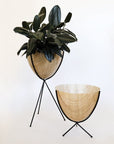 In front of a white background is a wood colored bullet planter. The planter has a wide top and narrows at the bottom. The planter is held up by a black metal stand. The stand has three black metal legs. Inside the pot is a deep green plant. To the right is another wood colored bullet planter that is held up by a black metal stand. This one is about half the size of the one on the left.