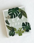 On a white background is a photograph of a mint green book cover with various house plant leaves on the front as well as white text that reads, "Lead Supply A Guide To Keeping Happy House Plants".
