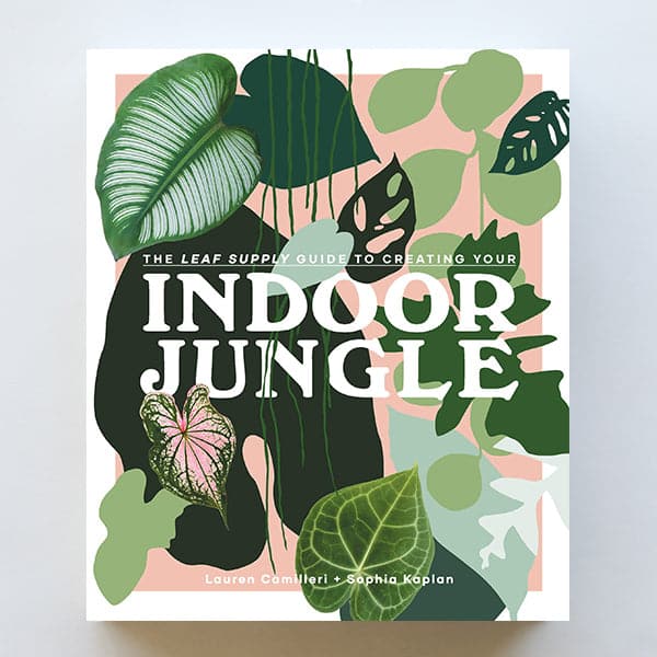 On a light grey background is a pink and green book cover with a white border and various illustrations of green house plant leaves as well as the title of the book that reads, &quot;The Leaf Supply Guide To Creating Your Indoor Jungle&quot; in white letters. 
