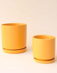 On a cream background is two different sized yellow ceramic pots with removable trays for watering.