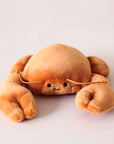 In front of a cream background is a stuffed orange crab laying on its stomach. It has two large claws in the front. On its face are two black eyes and a little black smile. He has two orange antennas above his eyes.