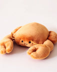 In front of a cream background is a stuffed orange crab laying on its stomach. It has two large claws in the front and two little claws in the back. On its face are two black eyes and a little black smile. He has two orange antennas above his eyes.