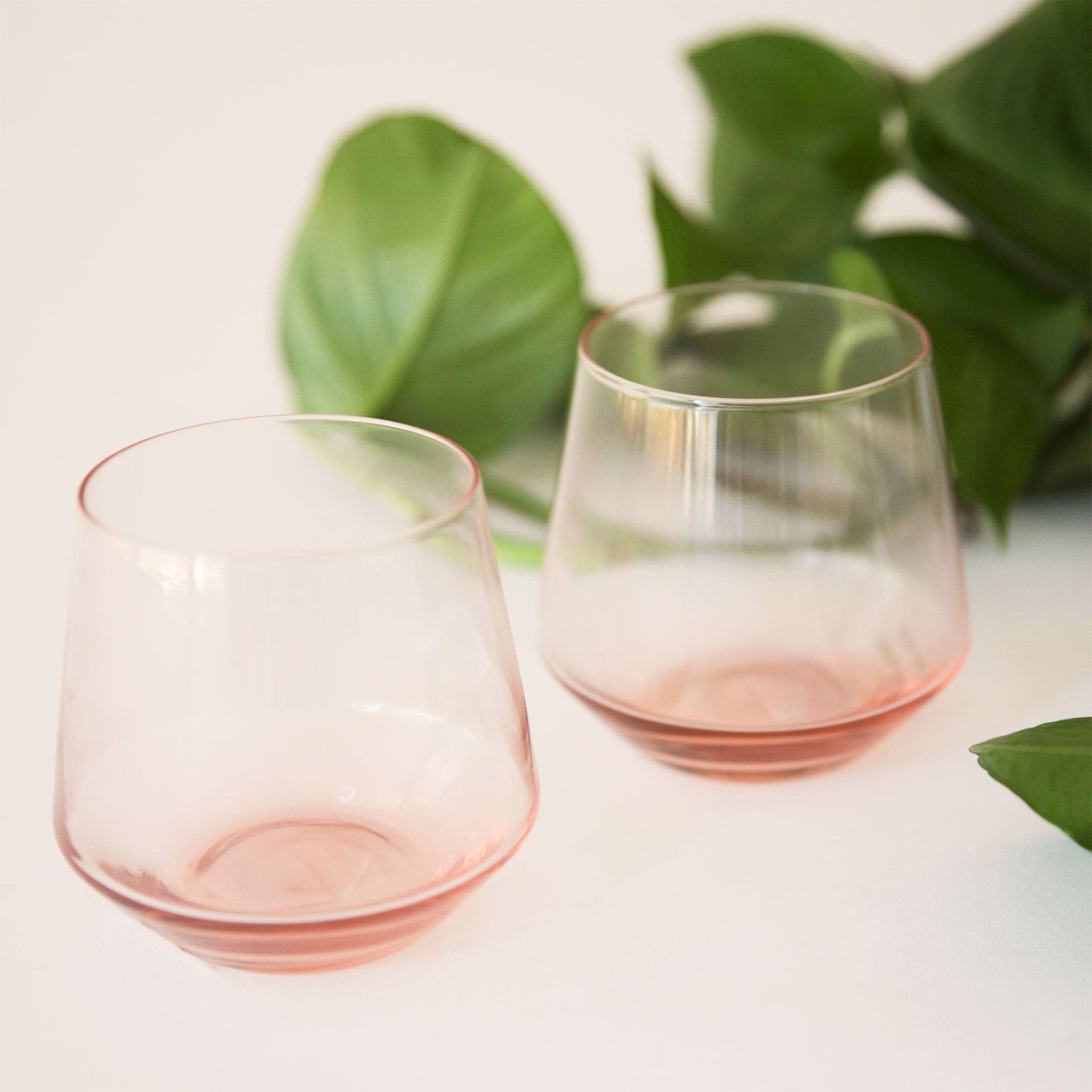 Two stemless drinking glasses with a curved bottom and slightly squared edge in a super light pink shade, staged next to a leafy green pothos plant.
