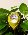 A chartreuse moisture meter with a rounded head and a white meter that ranges from dry, moist, or wet along with a small oval label in the front that reads, "Jungle Club".
