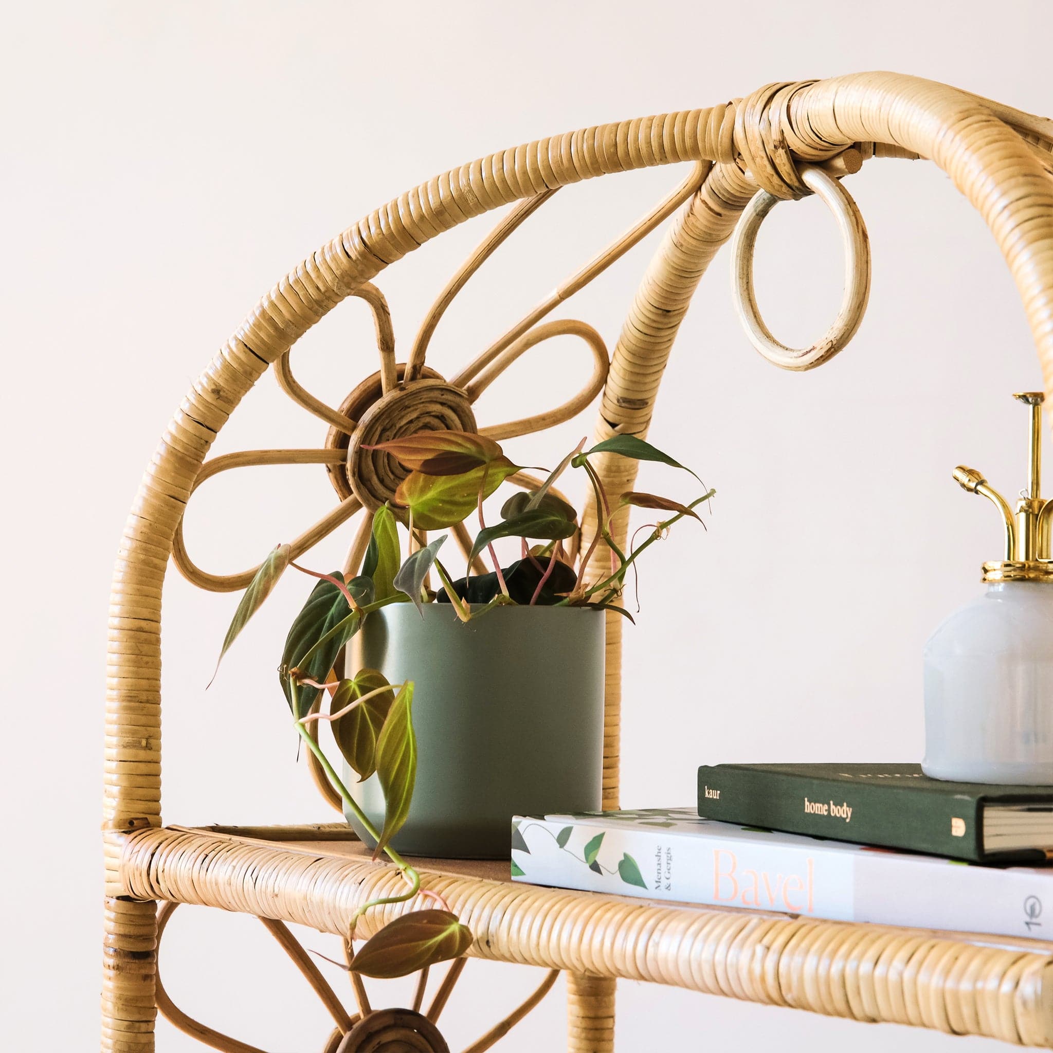 Natural woven rattan shelf with daisy accents on both sides. The sides are open and let in ample light to keep the shelves well lit. Displayed on each shelf are plants, books and little treasures.