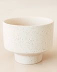 In front of a tan background is a round, ceramic ivory pot with a tapered bottom. The pot has black speckles.