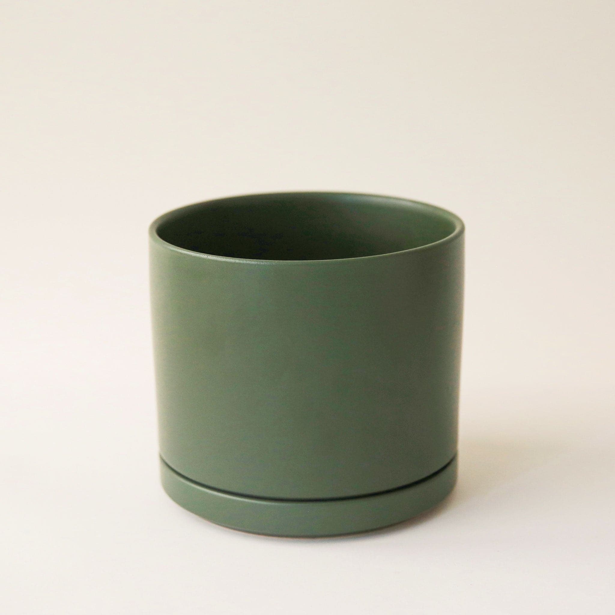 A green ceramic planter with a removable saucer filled with a house plant.