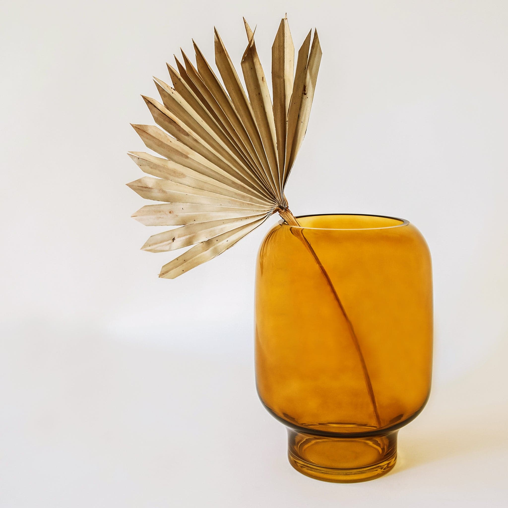 The sun cut fan spear styled in a clear amber vase. It is perfect as a statement piece with its showy fronds.