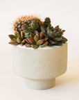Warm grey speckled planter with an elevated base and warm succulent display.
