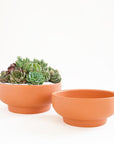 Two terracotta orange pedestal bowl planting pots, both with tapered bases. The bowl to the left is filled with a lush succulent arrangement, while the bowl to the right sits empty.