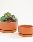 Two terracotta orange low bowl planting pots, both complete with water trays. The bowl to the left is larger and filled with a succulent arrangement, while the bowl to the right sits empty.