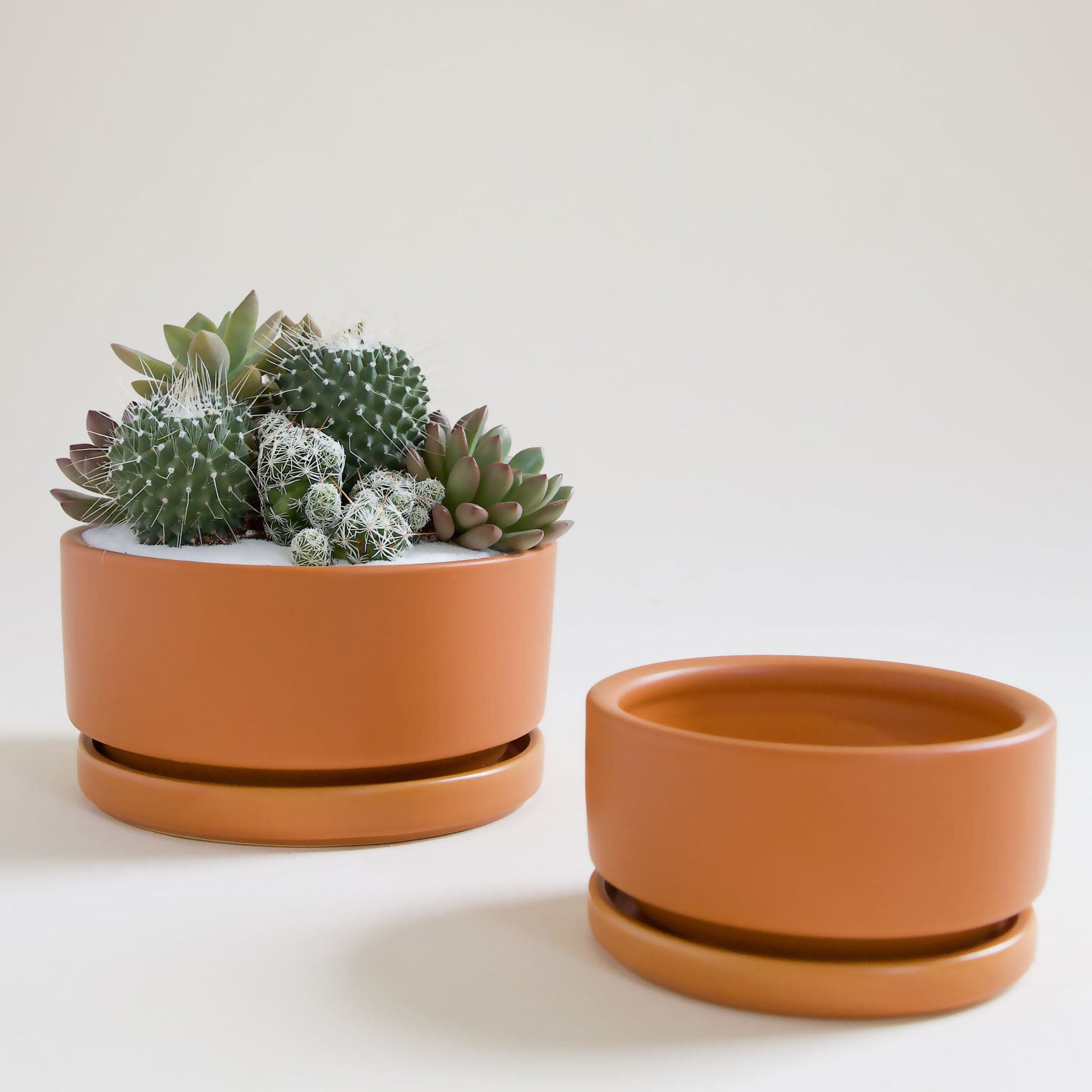 On a white background is two different sized low profile brownish orange ceramic planter with a removable tray and filled with a succulent and cacti arrangement that is not included with purchase.