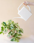 An ivory plastic watering can with a narrow spout and square handle and a rectangle breeze block design on the sides. This particular image shows a hand pouring the watering can onto a beautiufl marbled pothos plant in a soft pink pot.