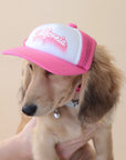 A wiener dog modeling a pink and white baseball hat with a white hat, and a pink bill and mesh backing along with pink outlined text that reads, "California" on the front.