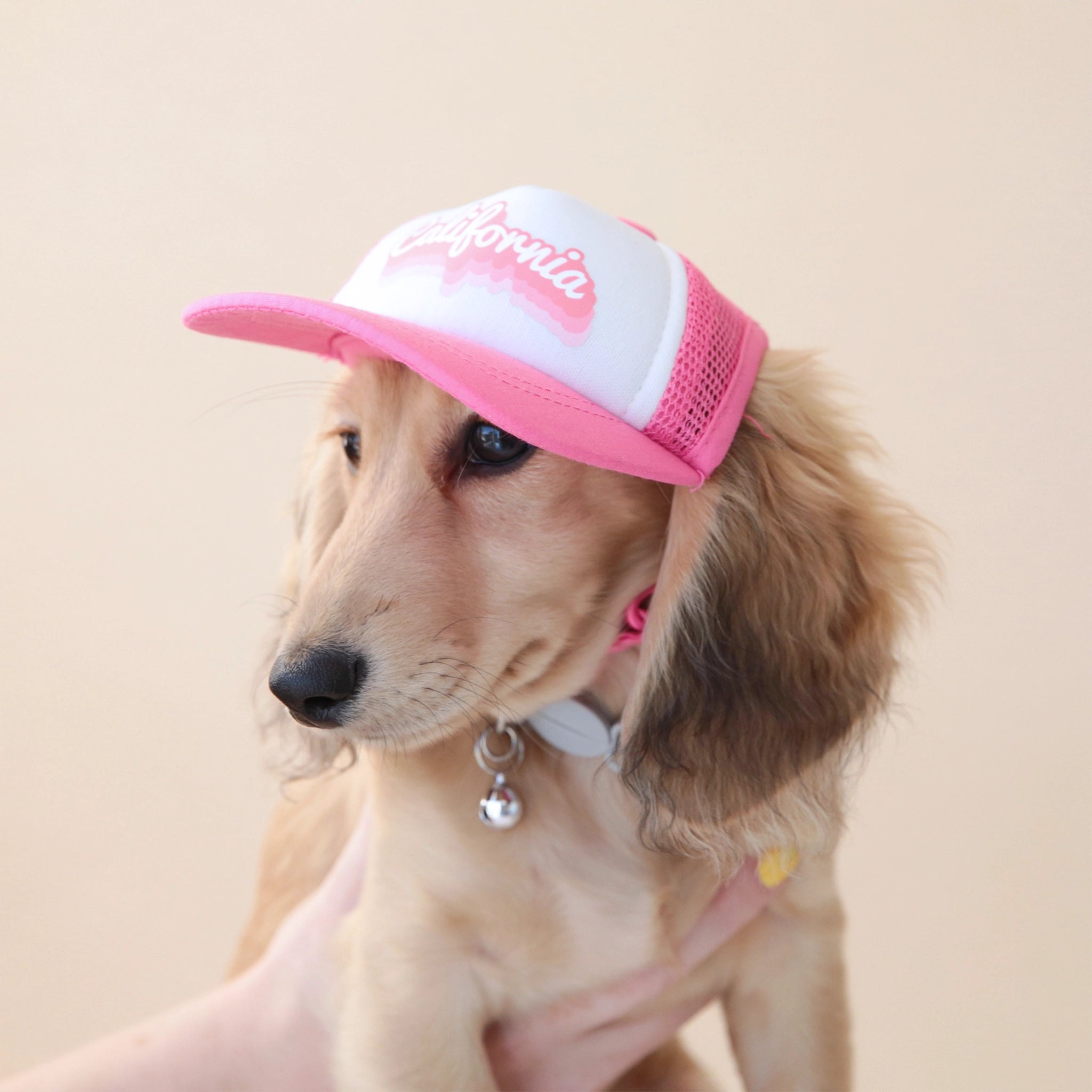 Dog sales sun cap
