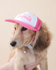 A wiener dog modeling a pink and white baseball hat with a white hat, and a pink bill and mesh backing along with pink outlined text that reads, "California" on the front.
