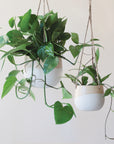 Two neutral ceramic hanging planters with rounded sides and a flat bottom along with a half cream half tan design on them and three jute strings as the hangers. These pots are photographed with green viney house plants.