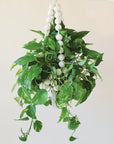 A plant hanger made of large round wooden beads forming a basket shape and coming together at the top to hang. There is a green leafy pothos inside the plant hanger that is not included with purchase.