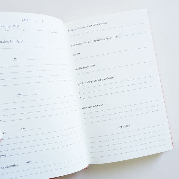 The Well Journal – Pigment