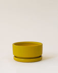 Chartreuse short and wide bowl planter complete with matching water tray below.