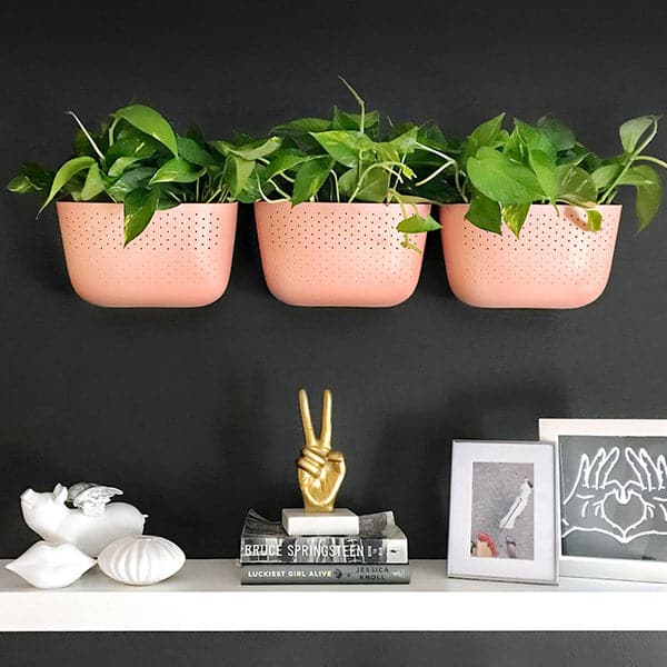 Living Wall Planters - Rose - Pigment 