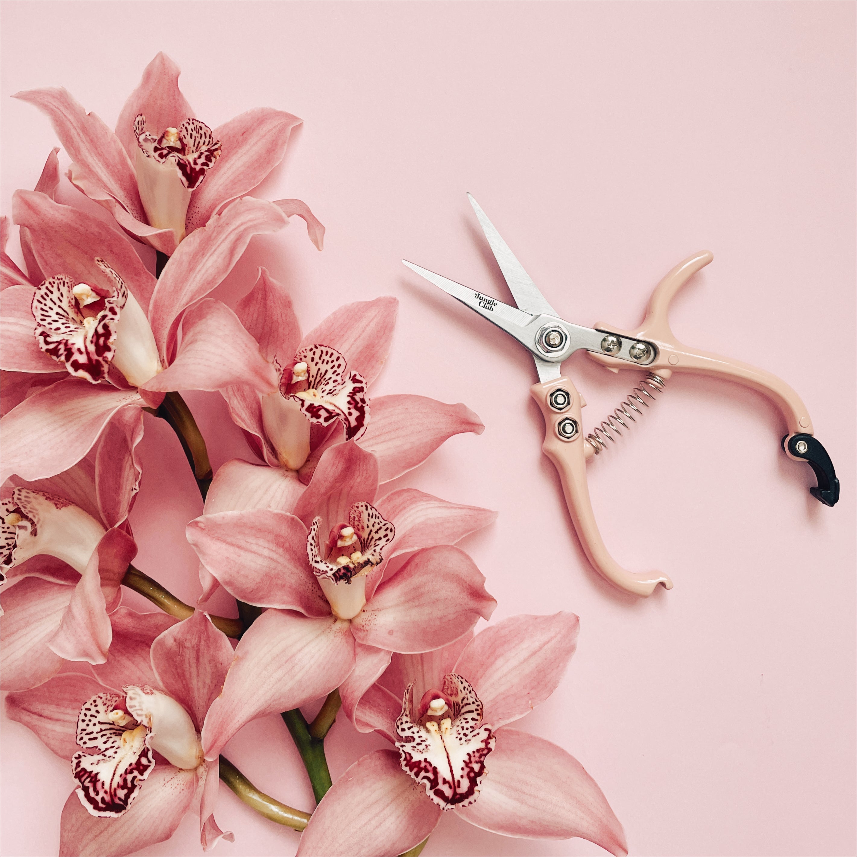 best garden pruning scissors Pruning Shears - Pink