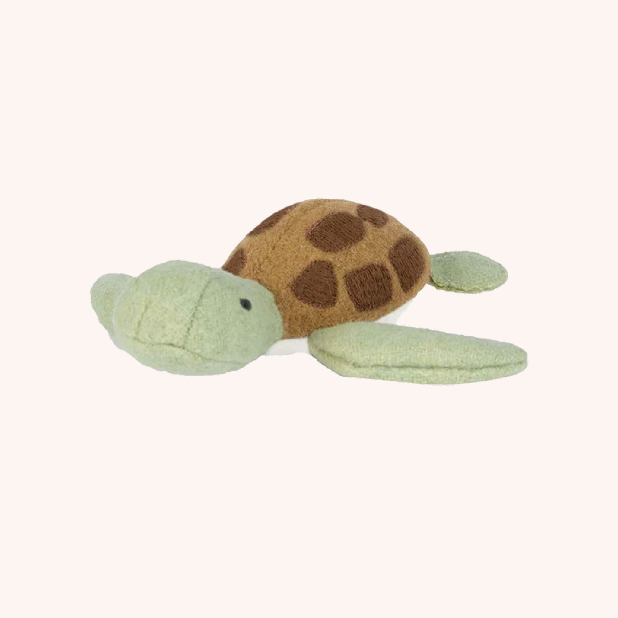 A close up of the sea turtle toy that has a light green head and fins, along with a two toned brown shell.