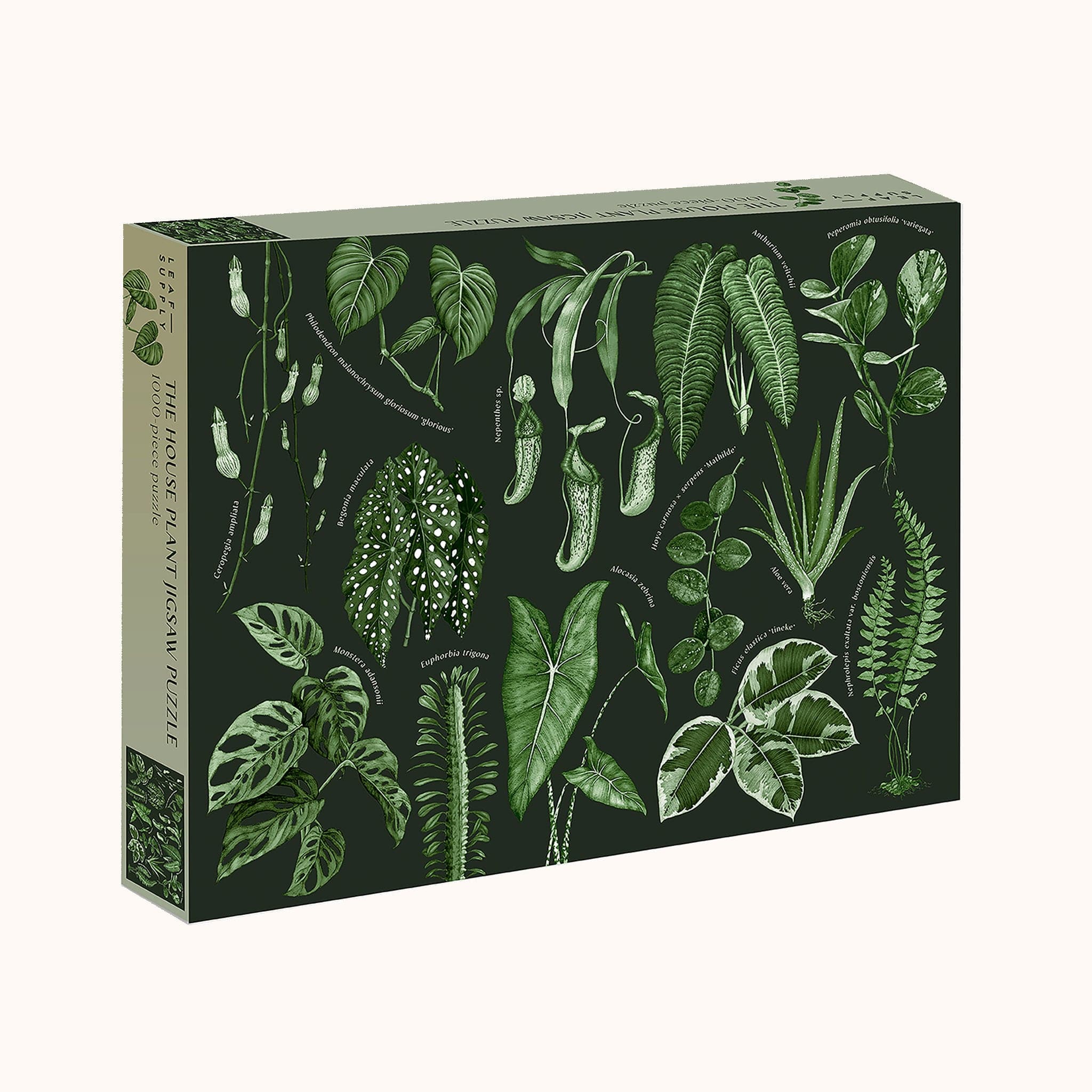 On a white background is a black puzzle box with an assortment of green house plant leaf illustrations on the front cover..