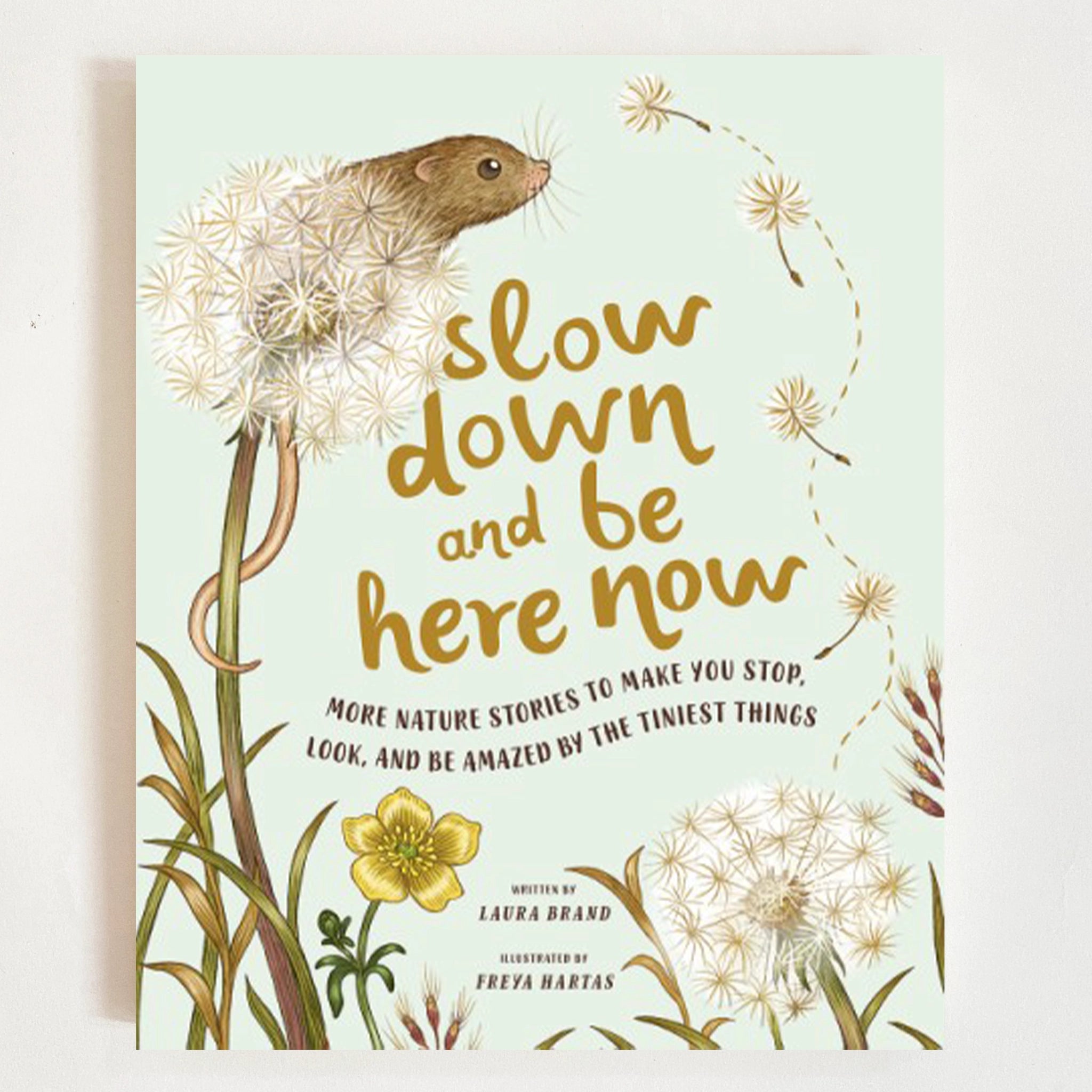A light mint green children&#39;s book with illustrations of dandelions and a small critter peaking out from it along with the title of the book in the center that reads, &quot;Slow down and be here now more nature stories to make you stop, look, and be amazed by the tiniest things&quot; in brow letters. 