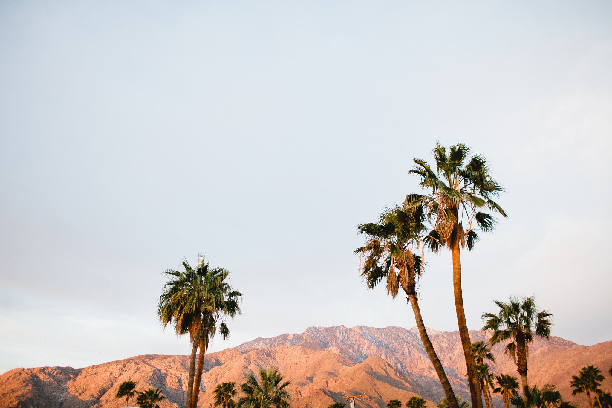 Win a Palm Springs Getaway!