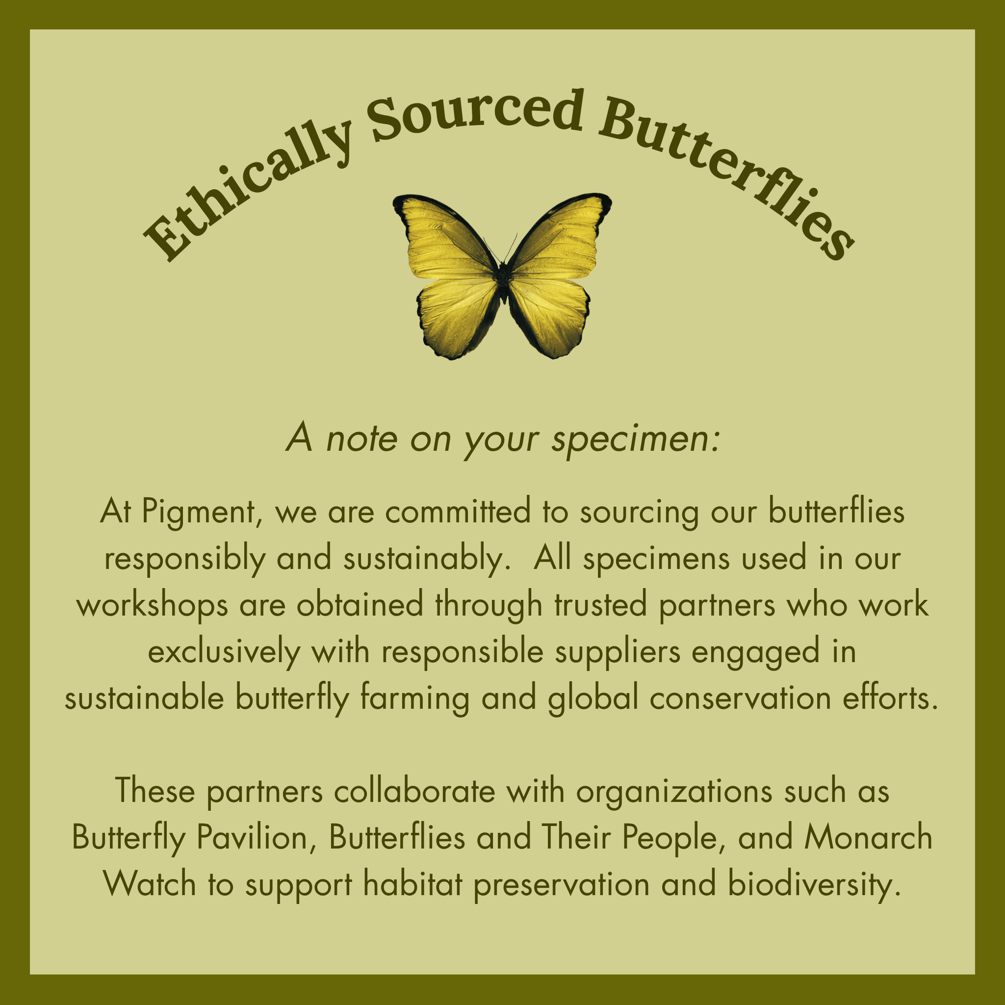 Butterfly Garden Workshop | June 13th, 2026