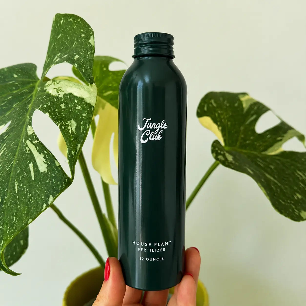 A hand with red nail polish holds a dark green bottle of Jungle Clue House Plant Fertilizer, set against a background of green monstera plant leaves.