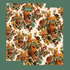 A vintage inspired floral print double sided wrapping paper sheet on a teal background.