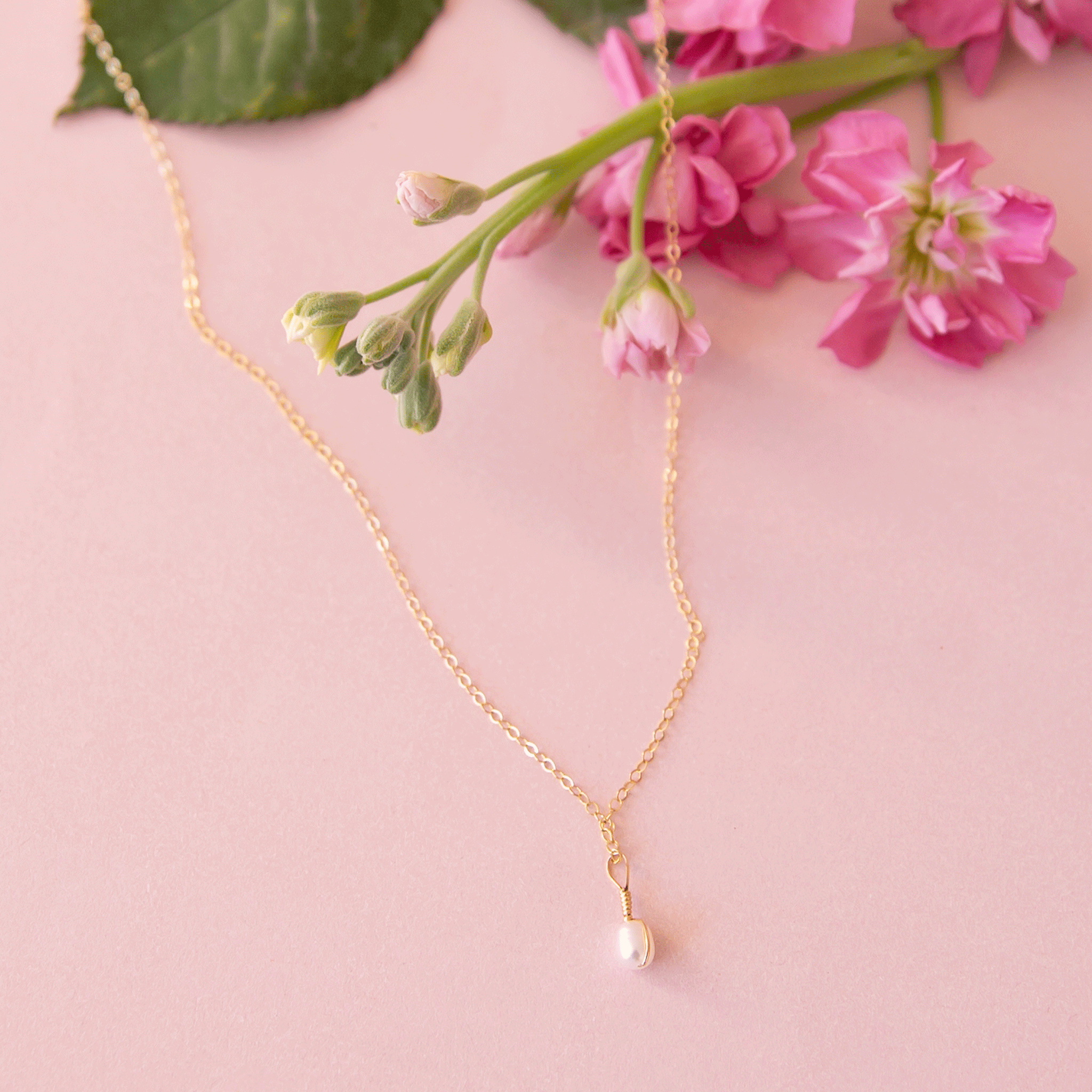 A gold filled necklace with a freshwater pearl pendant.